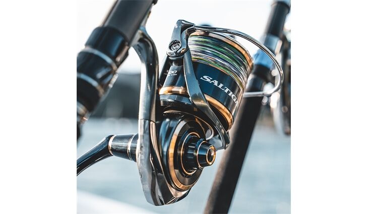 Daiwa Saltiga 20 8000 H