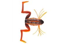 Daiwa Prorex Micro Frog DF 3.5cm