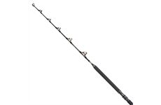 Shimano TYRNOS A STAND UP 80 LB ROLLER