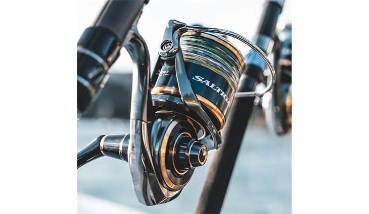 Daiwa Saltiga 20 18000 H