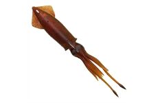 Savage Gear Swim Squid 3D 95 Red Brown 2pcs