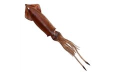 Savage Gear Swim Squid 3D 260 Brown UV