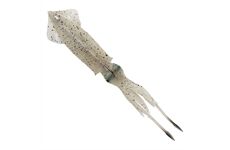 Savage Gear Swim Squid 3D 188 Green Eye