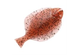 Solvkroken Flounder 13cm