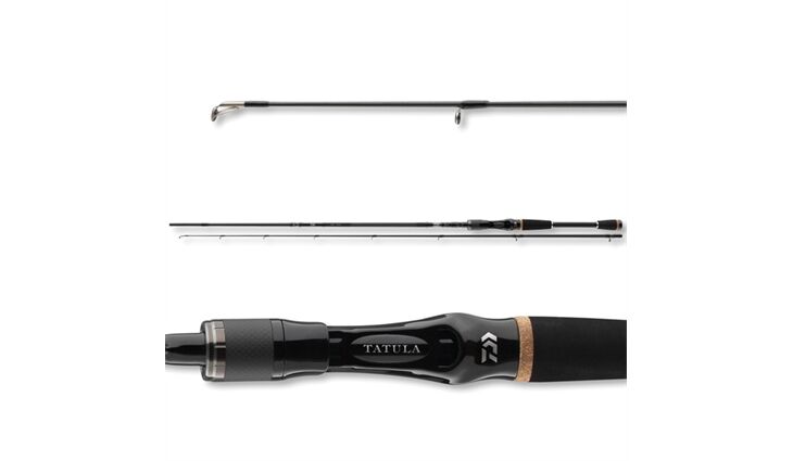 Daiwa Tatula BC 2.00m 7-28g