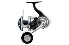 Daiwa Certate 21 SW (G)
