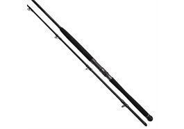 Bullseye Nazgul 260 30lbs Wallerrute