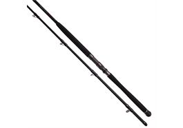 Bullseye Nazgul 300 LR 40lbs Wallerrute