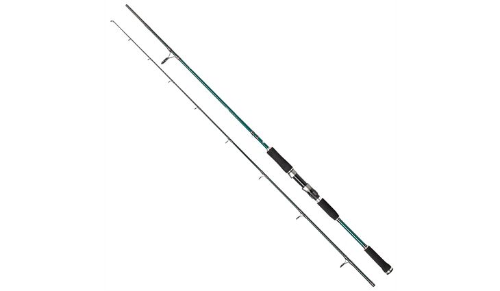 Abu Garcia BEAST X PIKE 862 XH 40-140g Spin