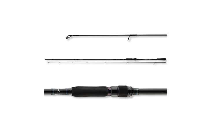 Daiwa Procyon Spin 2.70m 50-100g