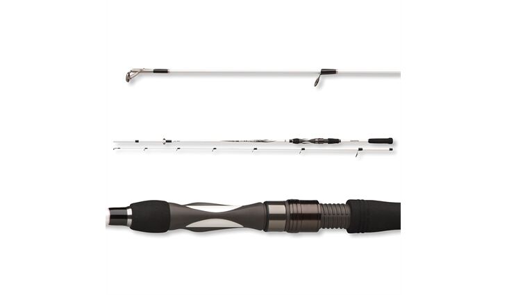 Daiwa Ballistic LTD Extra Fast Spin 2.20m 20-60g