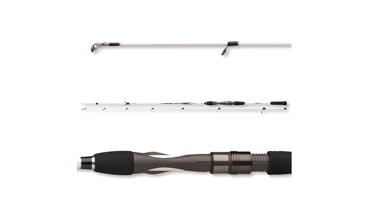 Daiwa Ballistic LTD Big Bait 2.55m 50-110g