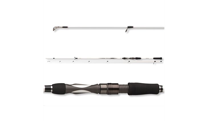 Daiwa Ballistic LTD Spin 2.70m 30-70g
