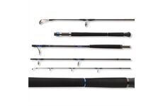 Daiwa Saltiga Air Portable 2.40m 50-120g 4-teilig