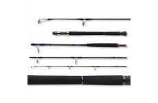 Daiwa Saltiga Air Portable 2.55m 50-160g 4-teilig