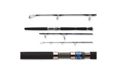 Daiwa Saltiga Air Portable 1.70m 180-400g 3-teilig
