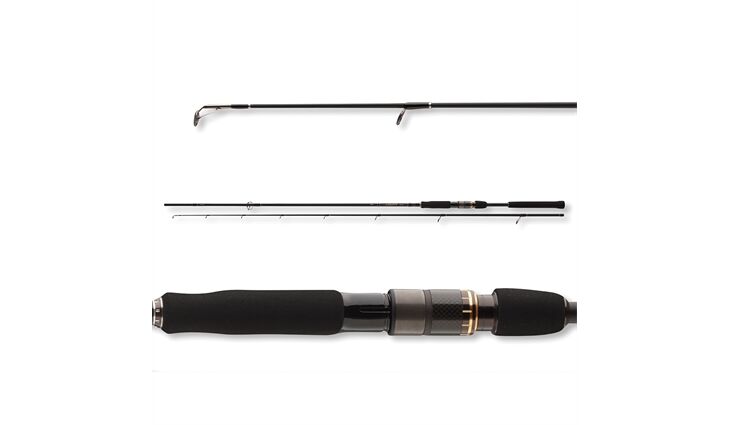 Daiwa Airity Spin 2.70m 14-42g