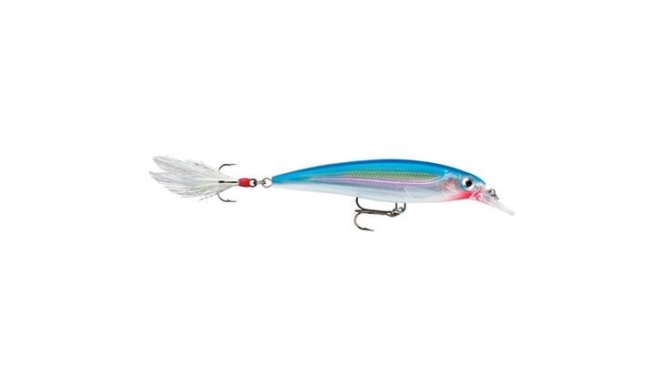 Rapala X-RAP XR10 SB