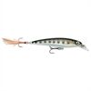 Rapala X-RAP XR04 MD