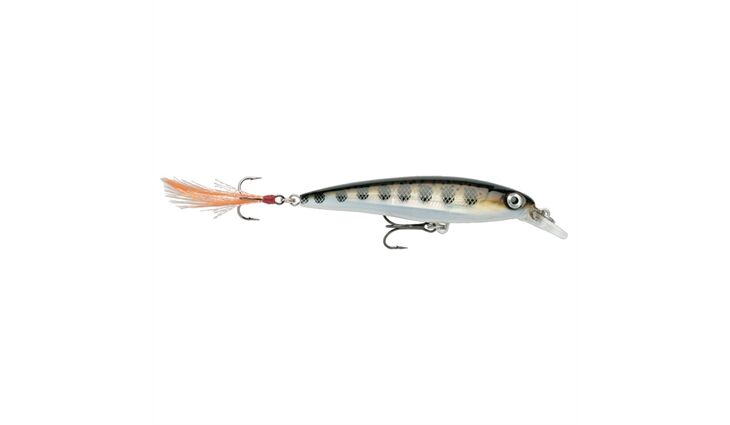 Rapala X-RAP XR04 MD