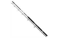 Daiwa BG Offshore Boat 2,40m 150-400g