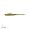 Zeck Fishing Barsch Alarm Shaky Sneaker 6cm Purple Chartreuse