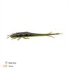 Zeck Fishing Barsch Alarm Shaky Sneaker 8cm Moor Kiwi