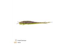 Zeck Fishing Barsch Alarm Shaky Sneaker 8cm