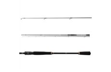 Daiwa Prorex XR Spin 2.40m 10-30g