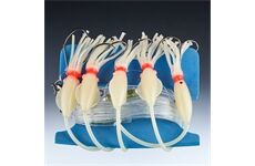 Balzer 71°Nord Spezi ROTBARSCH SYSTEM XL CIRCLE HAKEN