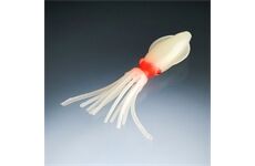 Balzer Edition Octopus Fluo Rot 6,5cm