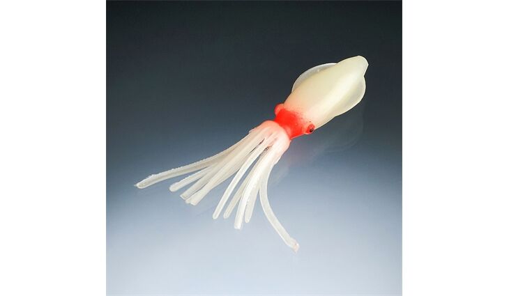 Balzer Edition Octopus Fluo Rot 6,5cm