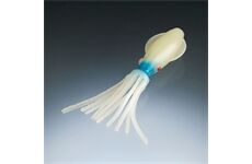 Balzer Edition Octopus Fluo Blau 6,5cm