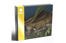 Zeck Fishing Adventskalender Zeck Waller 2024