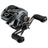 Daiwa TATULA 24 SV TW 100L