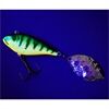 Balzer MK Adventure Matzes Rache Fire Shark