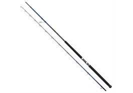 Savage Gear SGS6 SHORE JIGGING 3,05m MF 30-100g MH