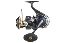 Daiwa SALTIGA 25 (G)