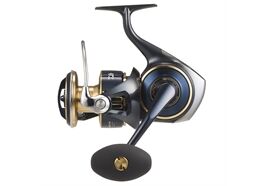 Daiwa SALTIGA 25 (G)
