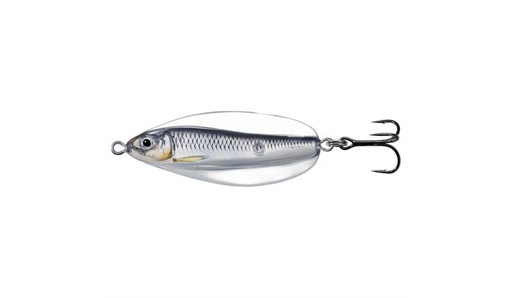 Live Target Erratic Shiner Spoon 55mm 11g Silver/Black