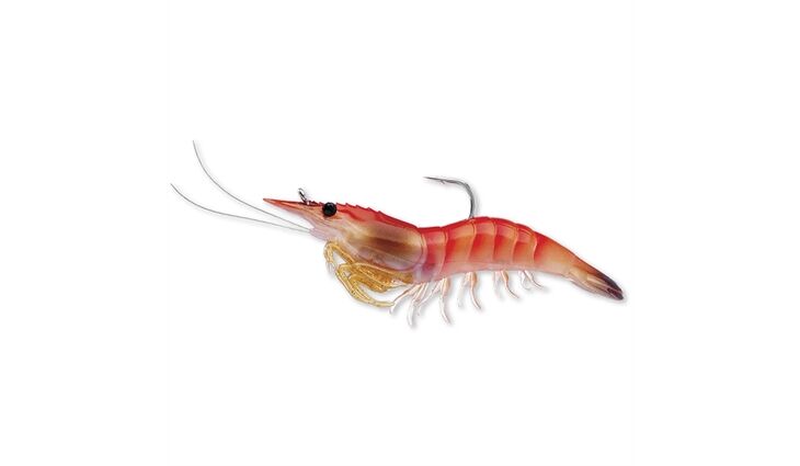 Live Target Rigged Shrimp Soft 75mm Pink