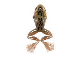 Live Target Freestyle Frog 2.0 2.5"