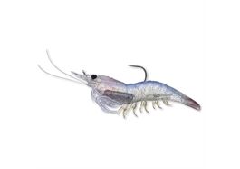 Live Target Rigged Shrimp Soft 75mm