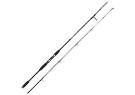Dieter Eisele Twitch N Pilk 2,30m 50-200g 2-teilig