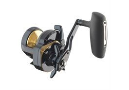 Daiwa SALTIGA 25 G 35L