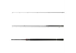 Daiwa Ballistic Air 3,05m 7-32g