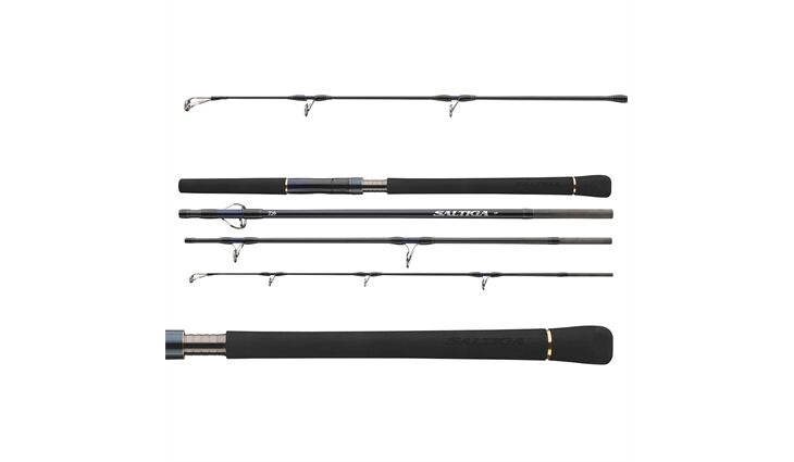 Daiwa Saltiga Air Portable - Light Game 8ft 40-110g 4-te