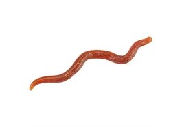 Balzer Street Wiggle Worm 8cm