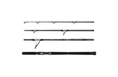 Penn ALLY II Casting 2,44m 100g 4-teilig