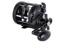 Penn RIVAL II 30 LW LH